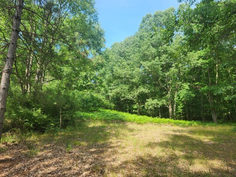 7359 South Riverbend Road Branch, MI 49402 - Photo 4 of 8 Lot 53