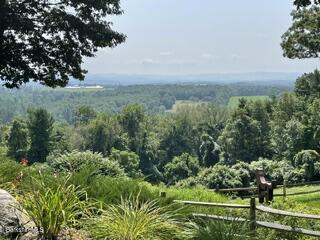 34 Millard Road Egremont, MA 01230 - Photo 42 of 82 Pool View 2