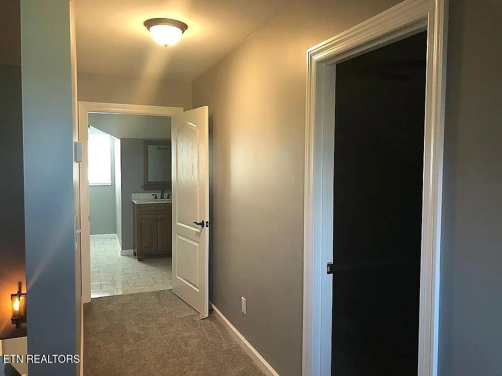 1246 Greenbriar Road Talbott, TN 37877 - Photo 14 of 31 14_beyc6a67dc6019348