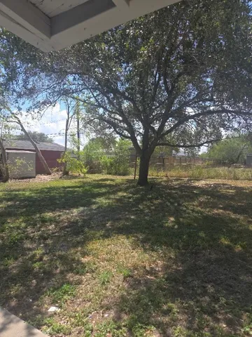 a view of yard with tree