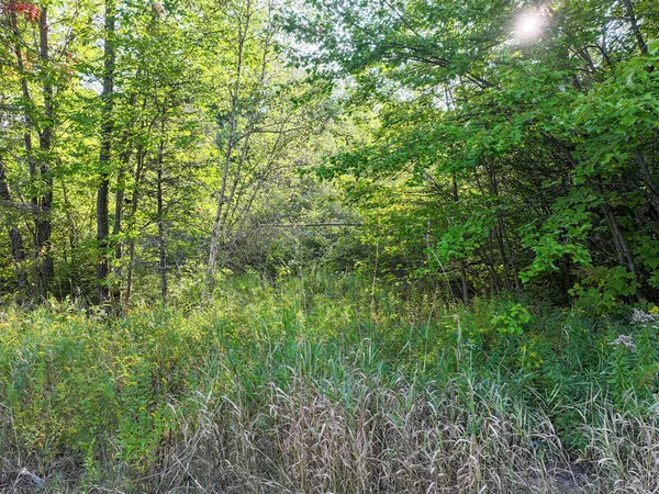 $89,500 | 33-028 Auburn Road, Turner, ME 04282