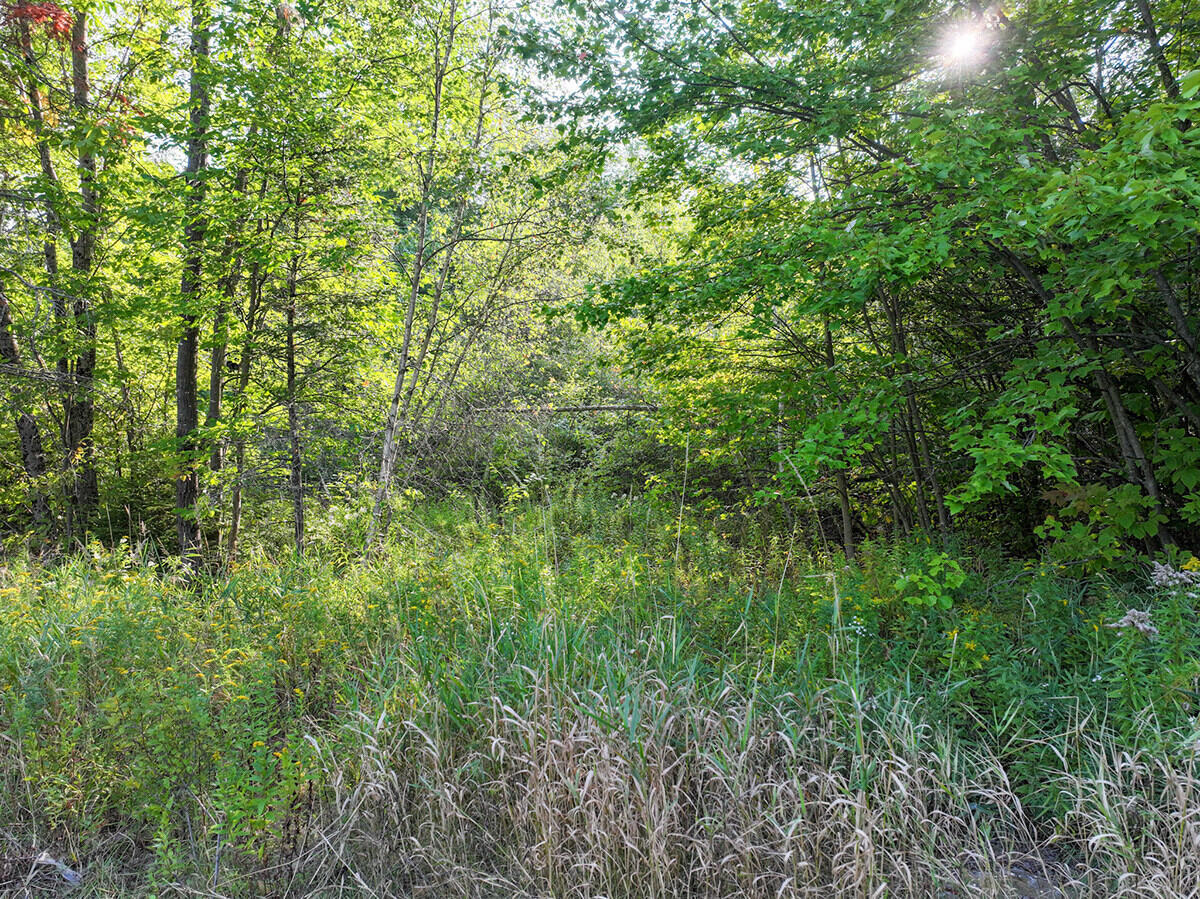 33-028 Auburn Road Turner, ME 04282 - Photo 6 of 6 Land Jordan Clearing