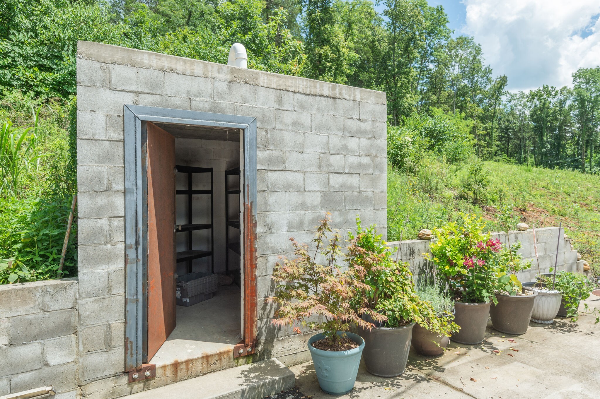 1372 Cliff Amos Road Spring Hill, TN 37174 - Photo 28 of 49 a view of a entryway of the house with potted plants