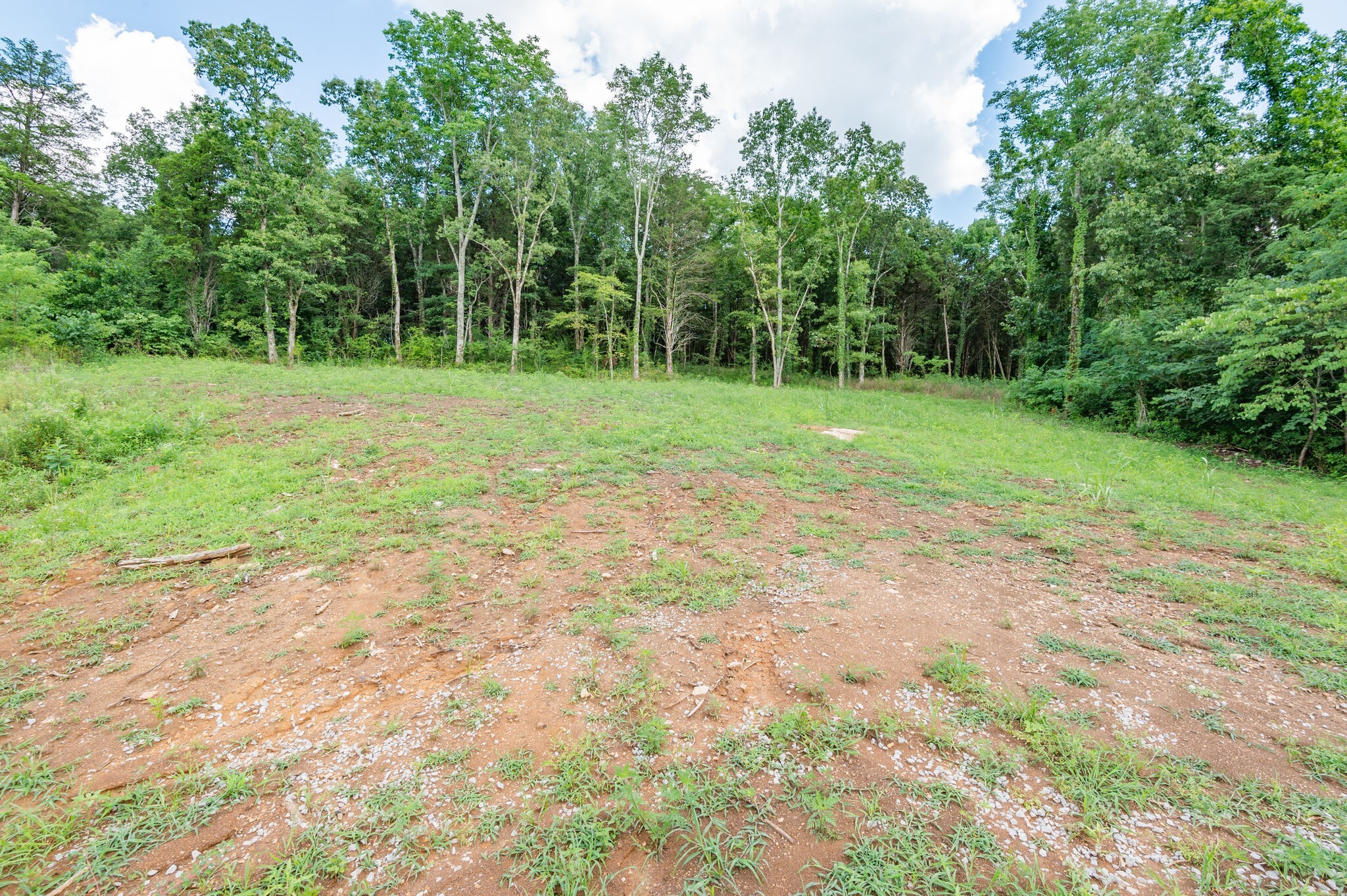 1372 Cliff Amos Road Spring Hill, TN 37174 - Photo 29 of 49 a view of a field with trees in the background