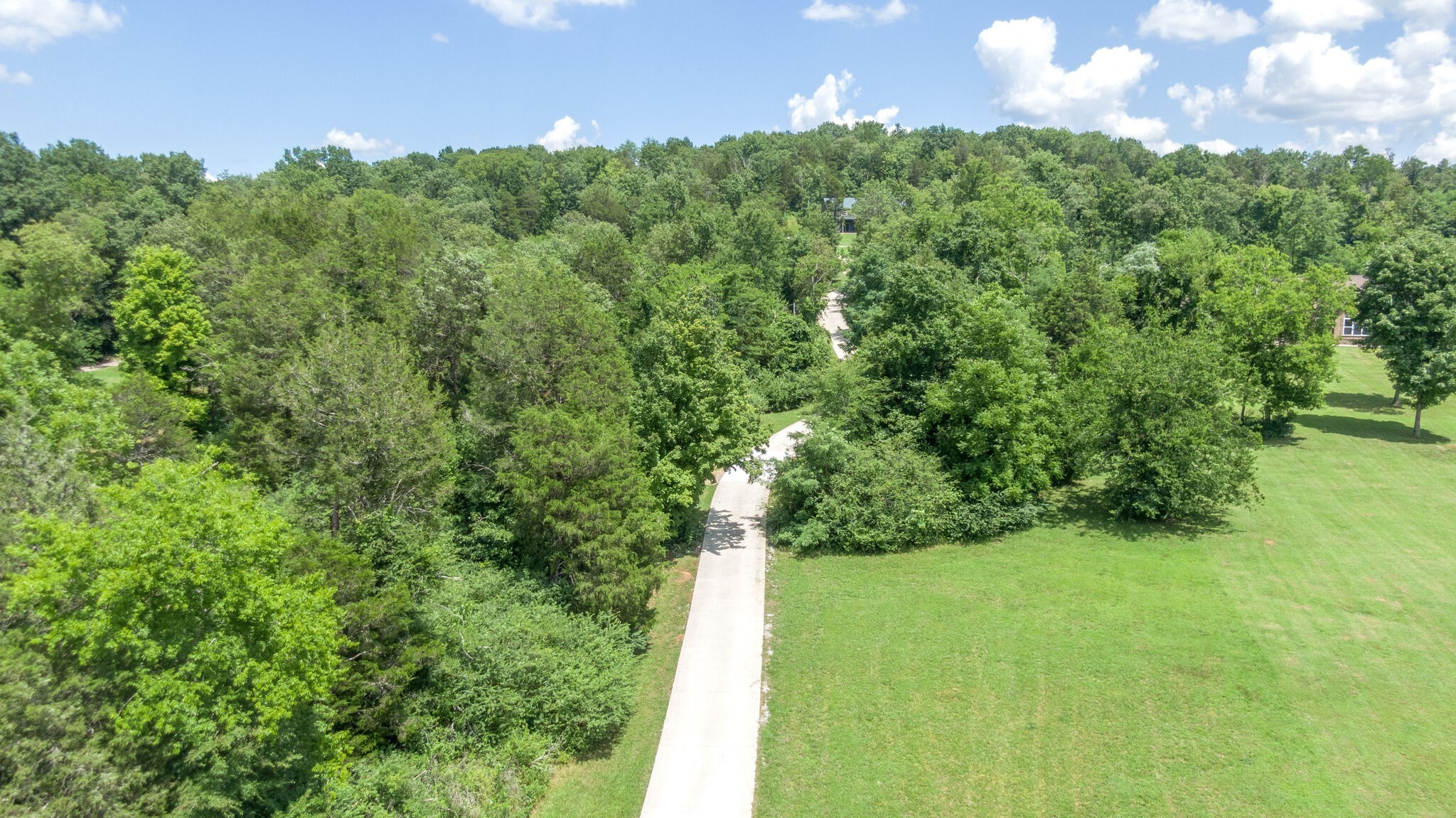 1372 Cliff Amos Road Spring Hill, TN 37174 - Photo 32 of 49 a view of a green yard