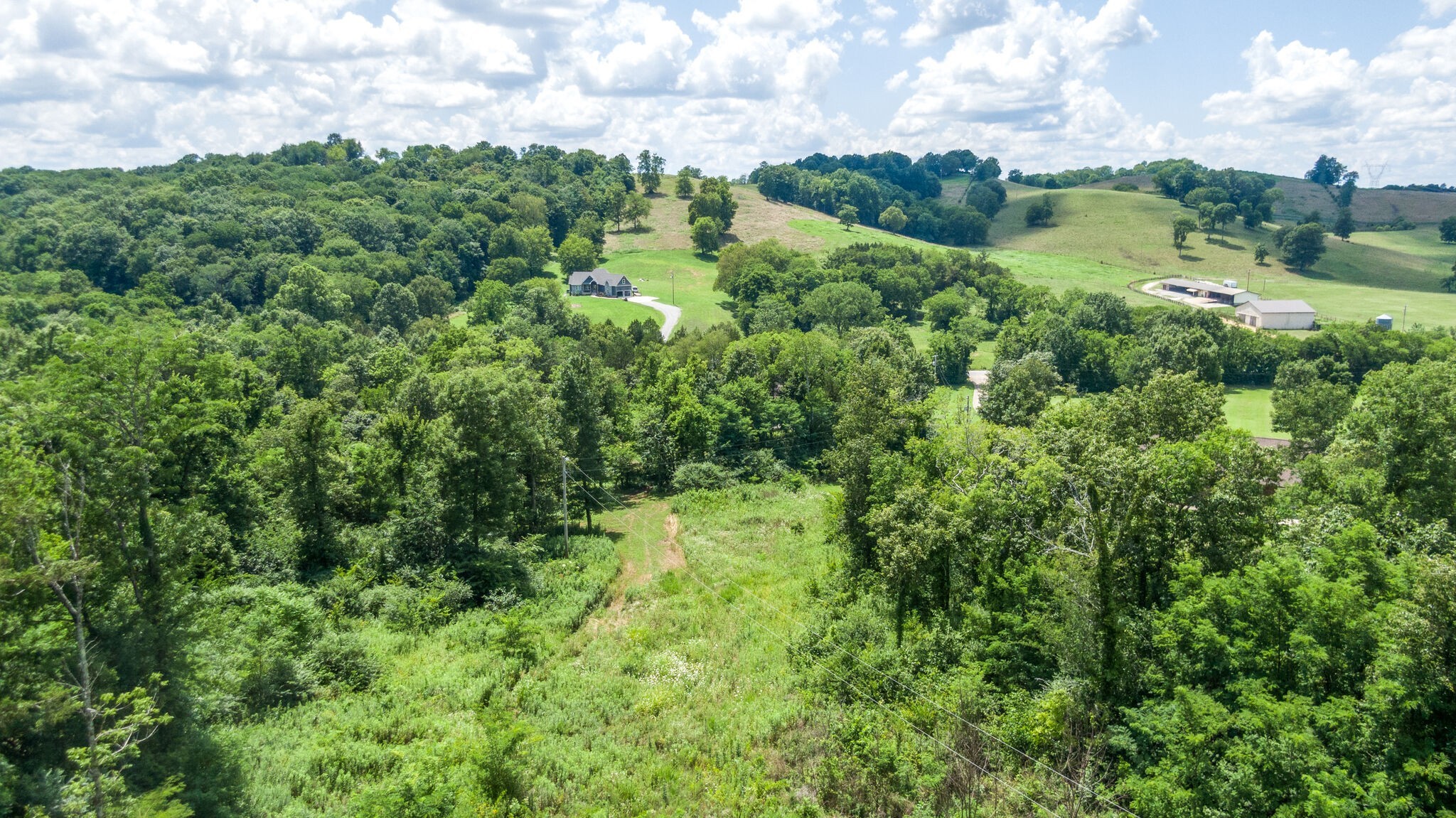 1372 Cliff Amos Road Spring Hill, TN 37174 - Photo 46 of 49 an aerial view of residential houses with outdoor space and trees
