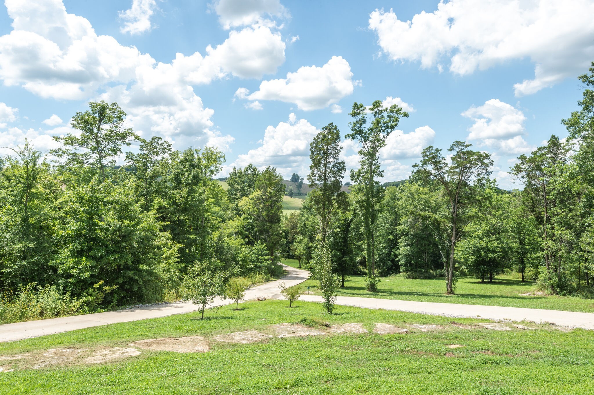 1372 Cliff Amos Road Spring Hill, TN 37174 - Photo 9 of 49 a view of a park