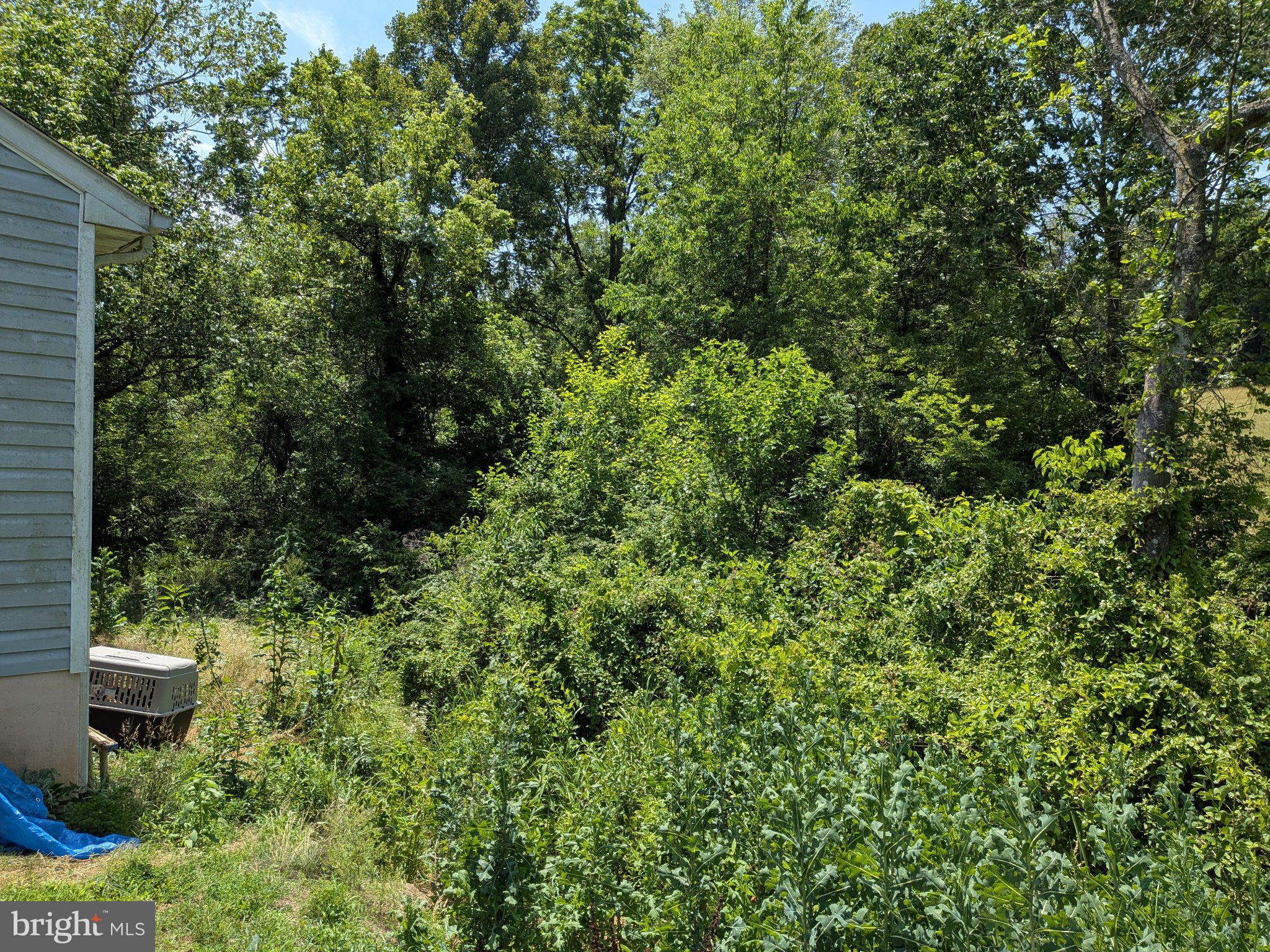 10198 Old Rapidan Road Orange, VA 22960 - Photo 24 of 29 Lush greenery envelops a serene space.