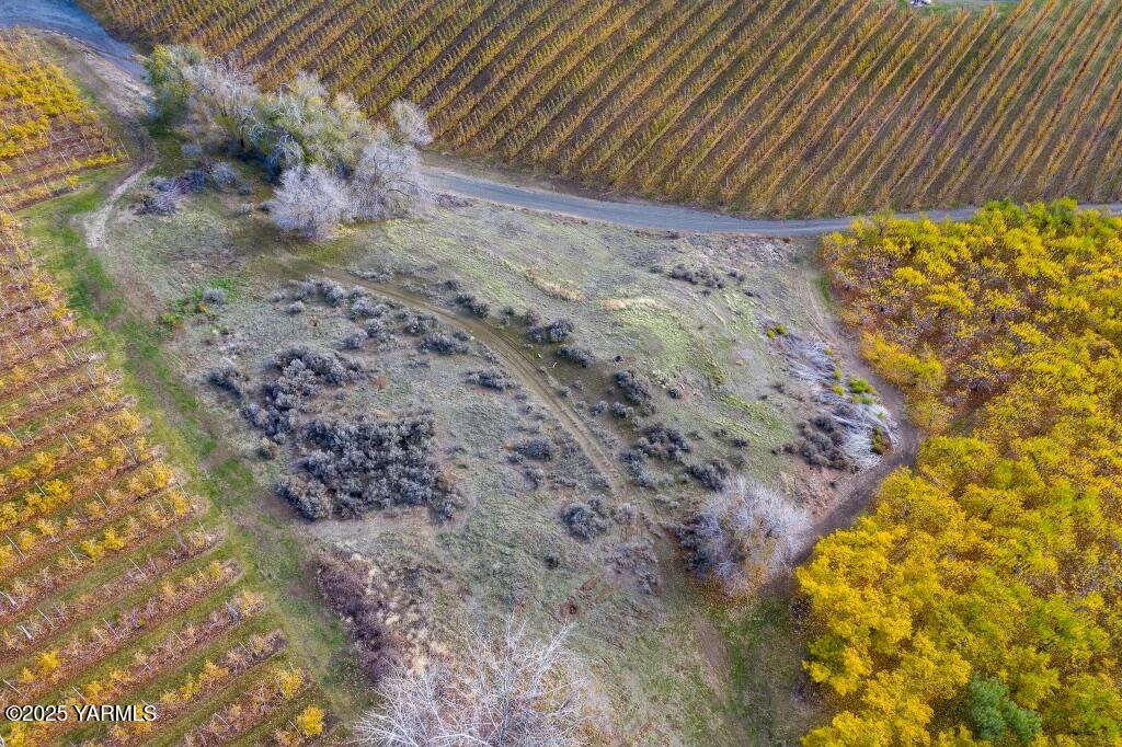 1460 Selah Heights Road Selah, WA 98942 - Photo 2 of 6 a view of a yard
