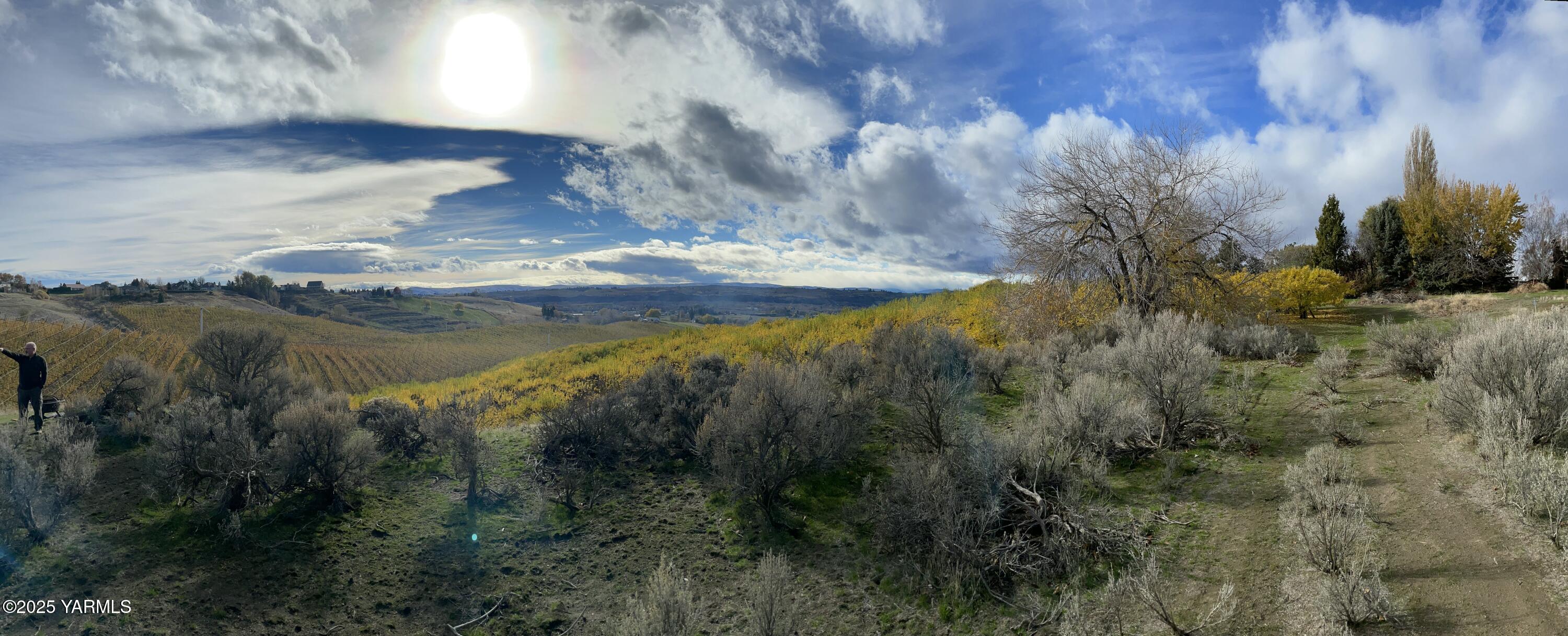 1460 Selah Heights Road Selah, WA 98942 - Photo 4 of 6 a view of lake with green space
