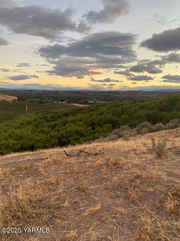 1460 Selah Heights Road Selah, WA 98942 - Photo 5 of 6 a view of an ocean beach