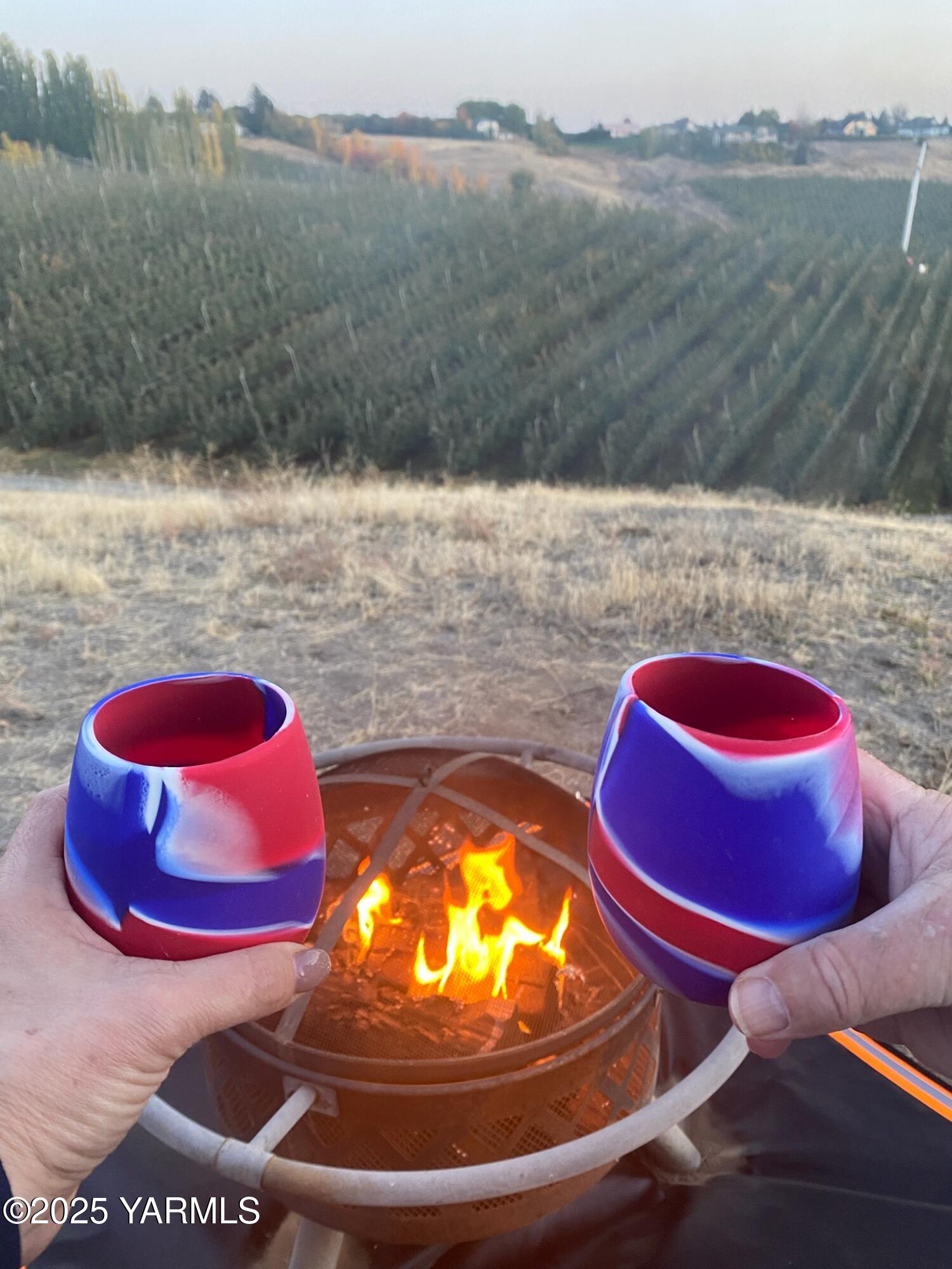 1460 Selah Heights Road Selah, WA 98942 - Photo 6 of 6