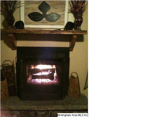 3644 Wilson Chapel Road Altoona, AL 35952 - Photo 7 of 21