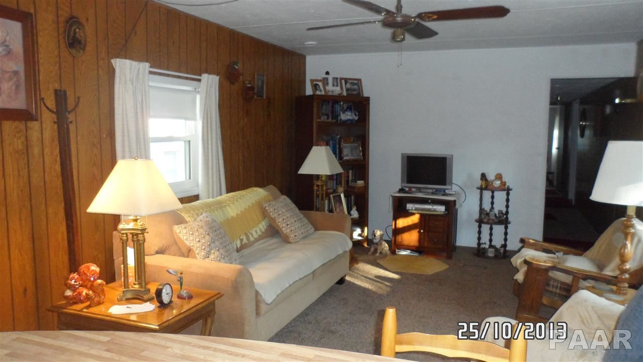504 4th Street St. David, IL 61563 - Photo 9 of 33 Gallery Image 9