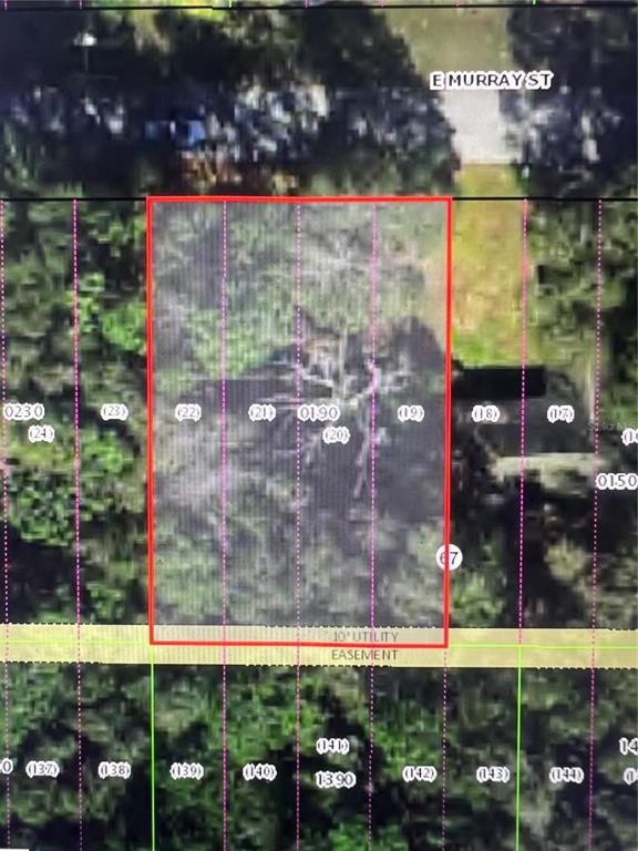 3404 East Murray Street Inverness, FL 34453 - Photo 2 of 3