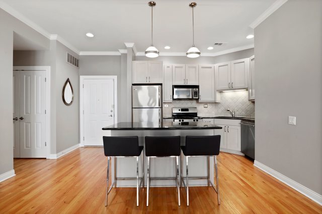 1355 West Washington Boulevard, Unit 3A Chicago, IL 60607 - Photo 8 of 20