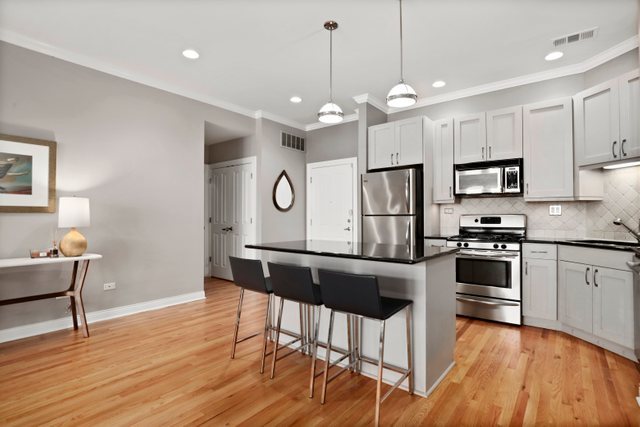 1355 West Washington Boulevard, Unit 3A Chicago, IL 60607 - Photo 9 of 20