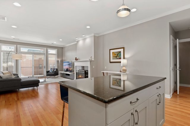 1355 West Washington Boulevard, Unit 3A Chicago, IL 60607 - Photo 10 of 20