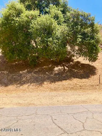 a view of a yard