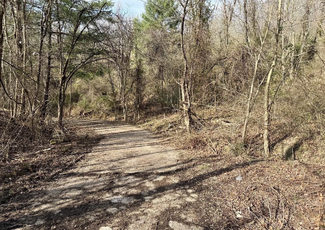 3529 Cannonsburg Road Catlettsburg, KY 41129 - Photo 10 of 15