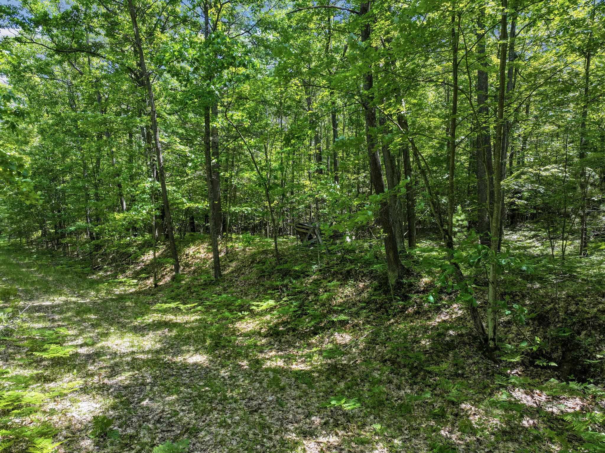 Parcel A Seeley Road Lake City, MI 49651 - Photo 5 of 16
