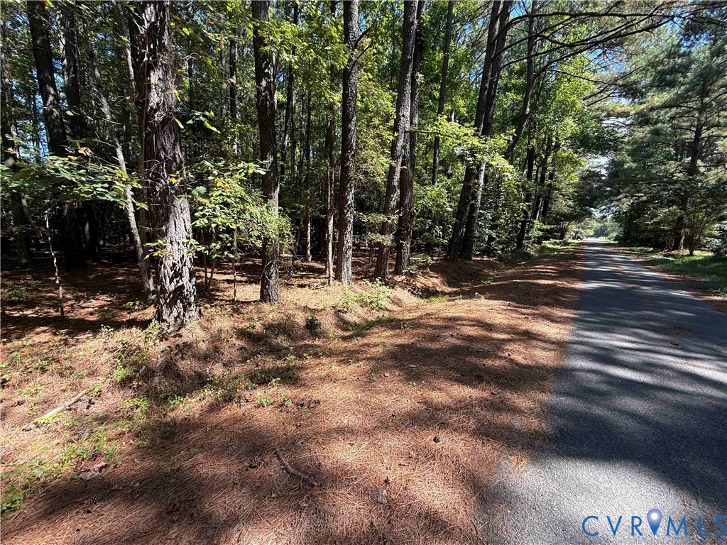 11-12 Comanchee Road Kilmarnock, VA 22482 - Photo 4 of 9 Wooded parcel featuring mature trees, natural grou