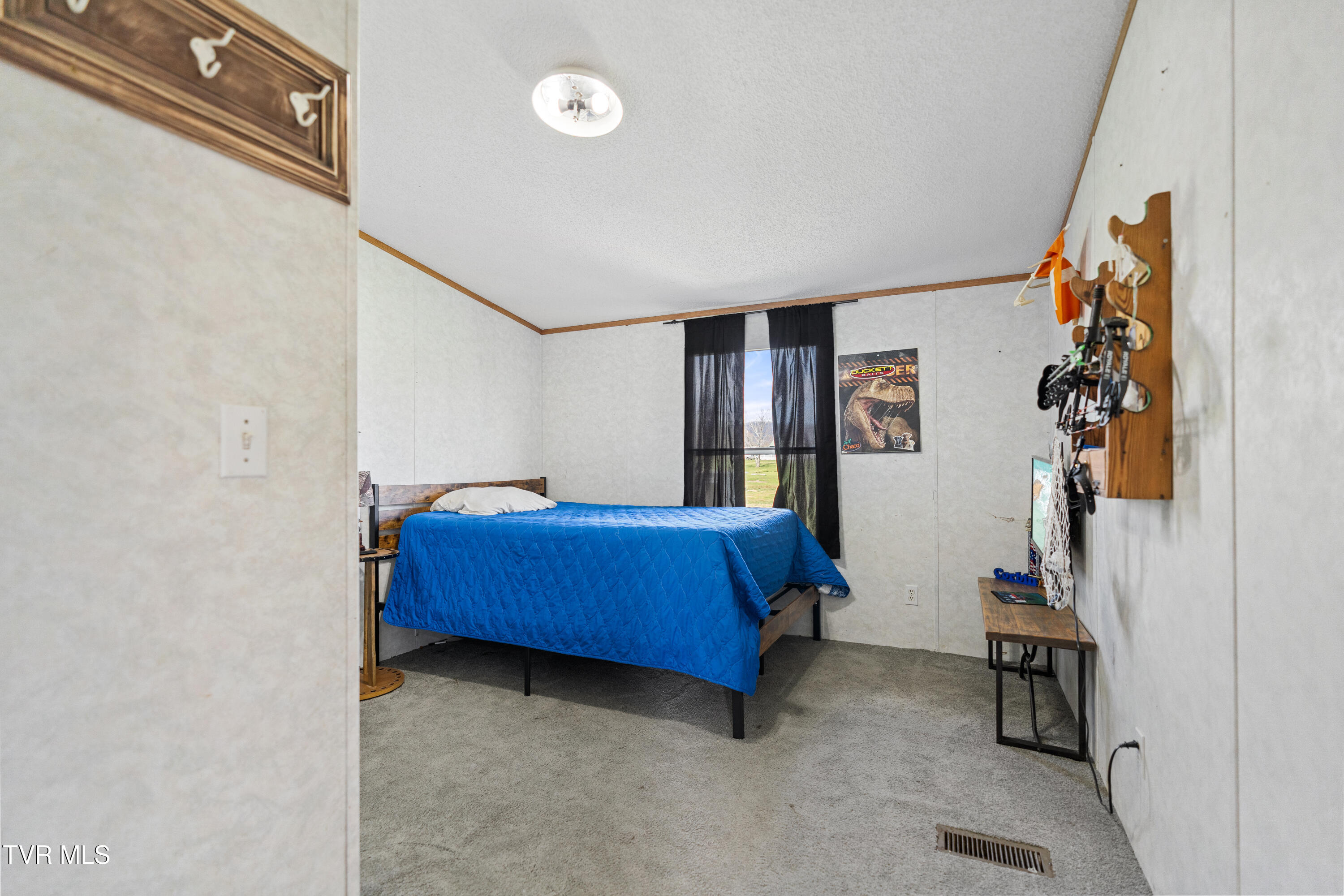 1675 Billy Bible Road Greeneville, TN 37745 - Photo 17 of 26 DSC09293
