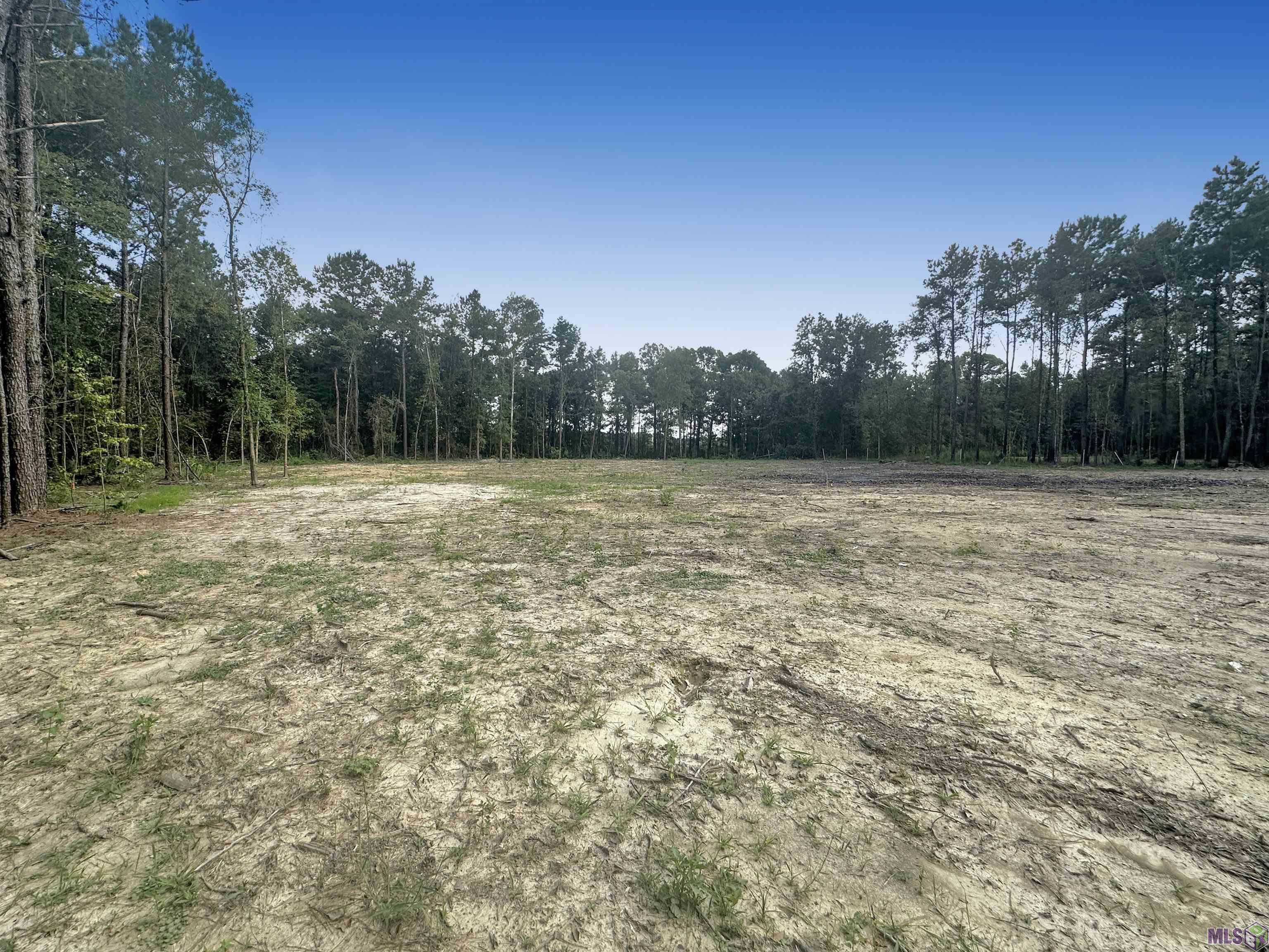 14342 Springfield Road Walker, LA 70785 - Photo 3 of 4