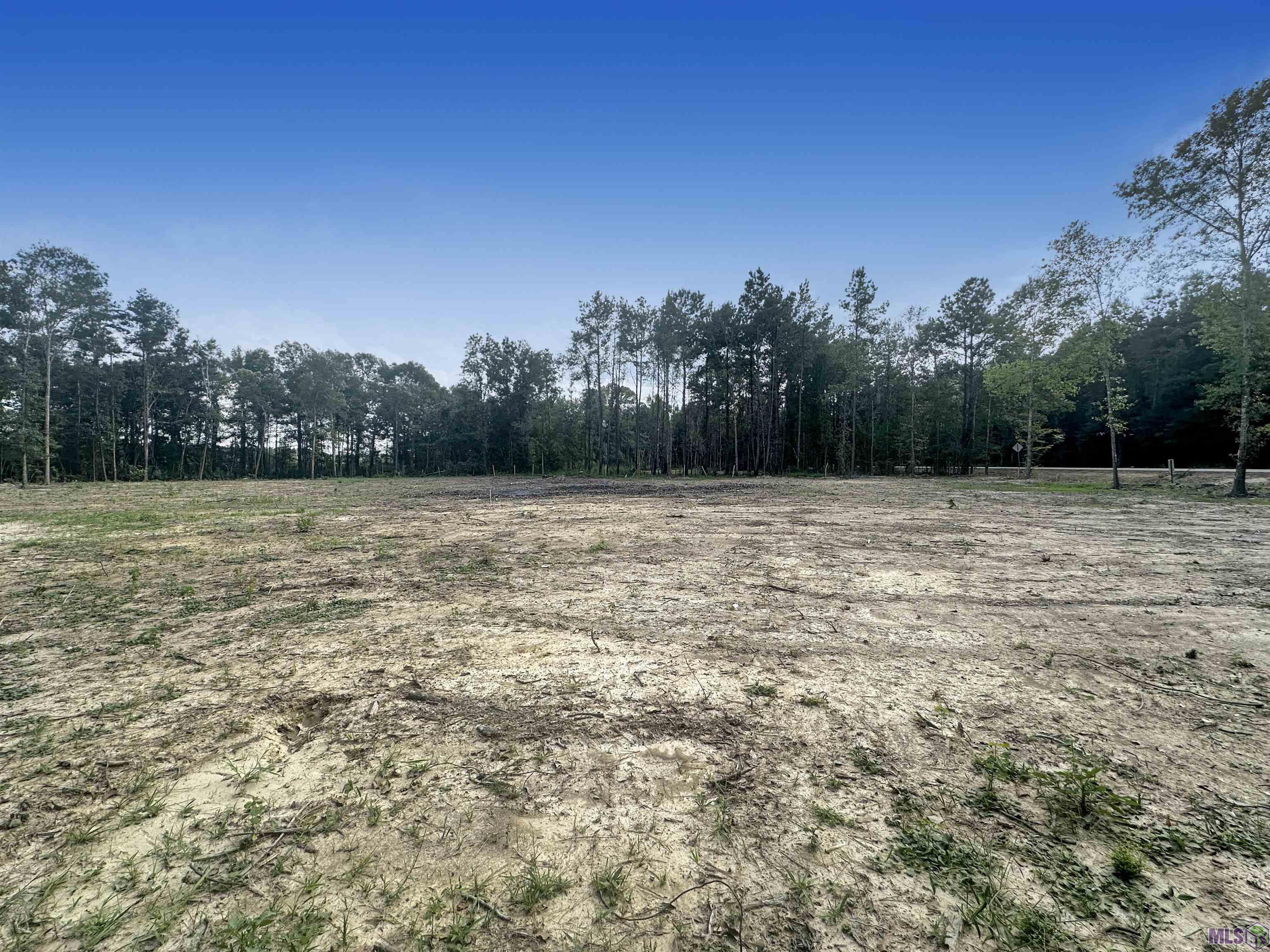 14342 Springfield Road Walker, LA 70785 - Photo 4 of 4