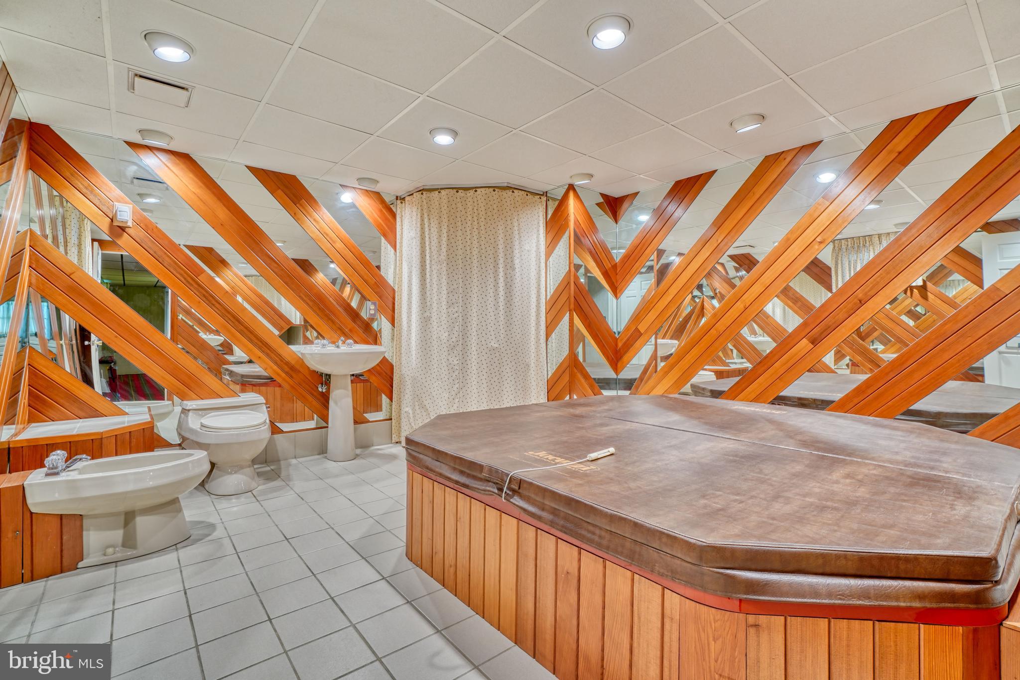 15 Glen Alpine Road Phoenix, MD 21131 - Photo 39 of 39 Lower Level Bathroom/Jacuzzi