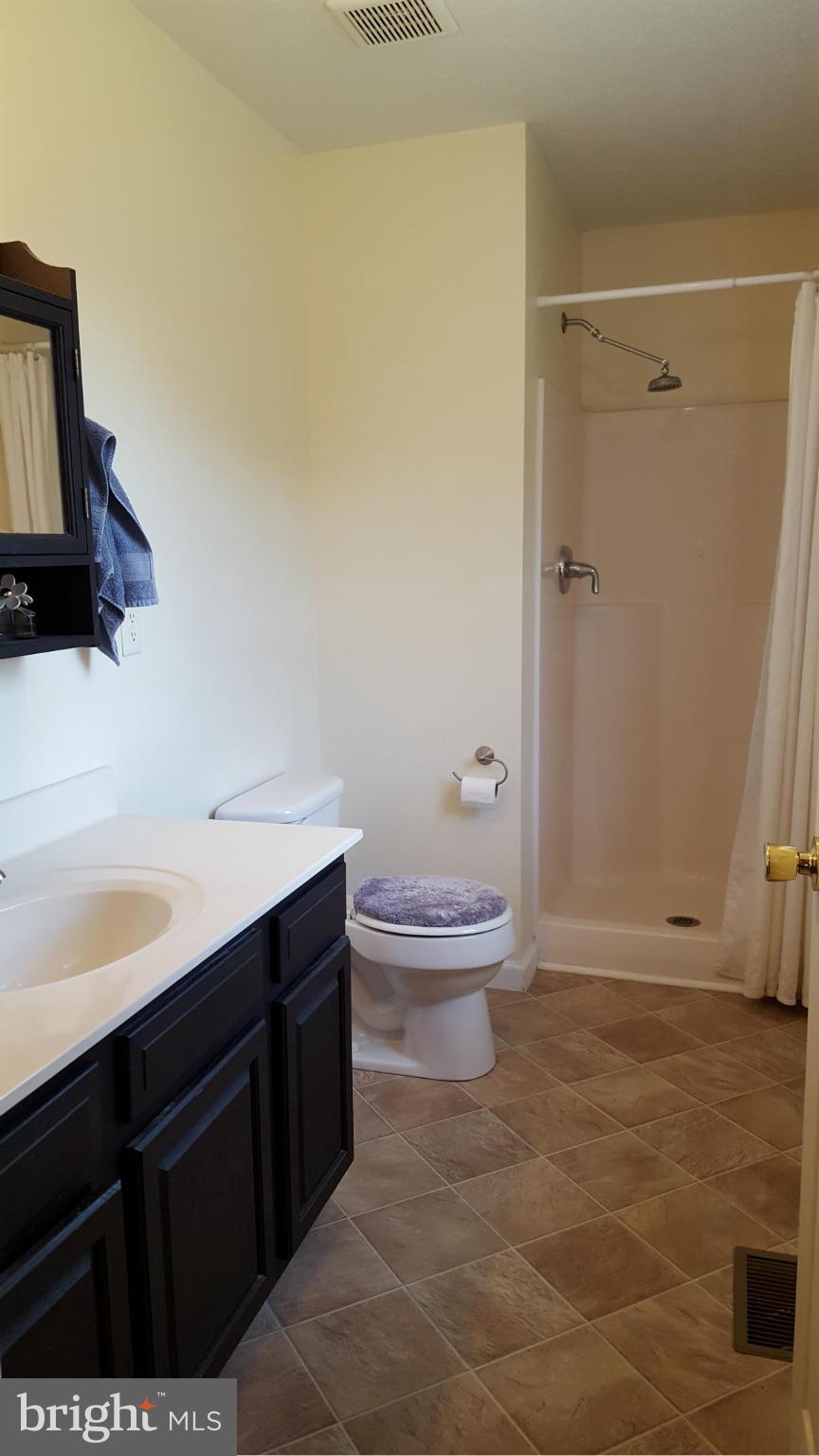 4258 Timber Ridge Road Berkeley Springs, WV 25411 - Photo 10 of 26 a bathroom with a sink a toilet and shower