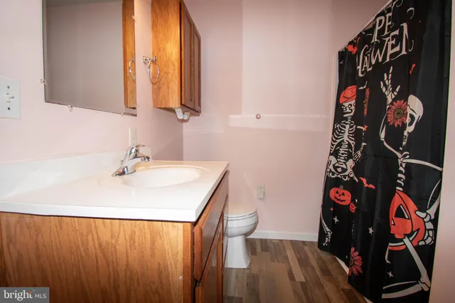a bathroom with a sink and mirror with wooden floor