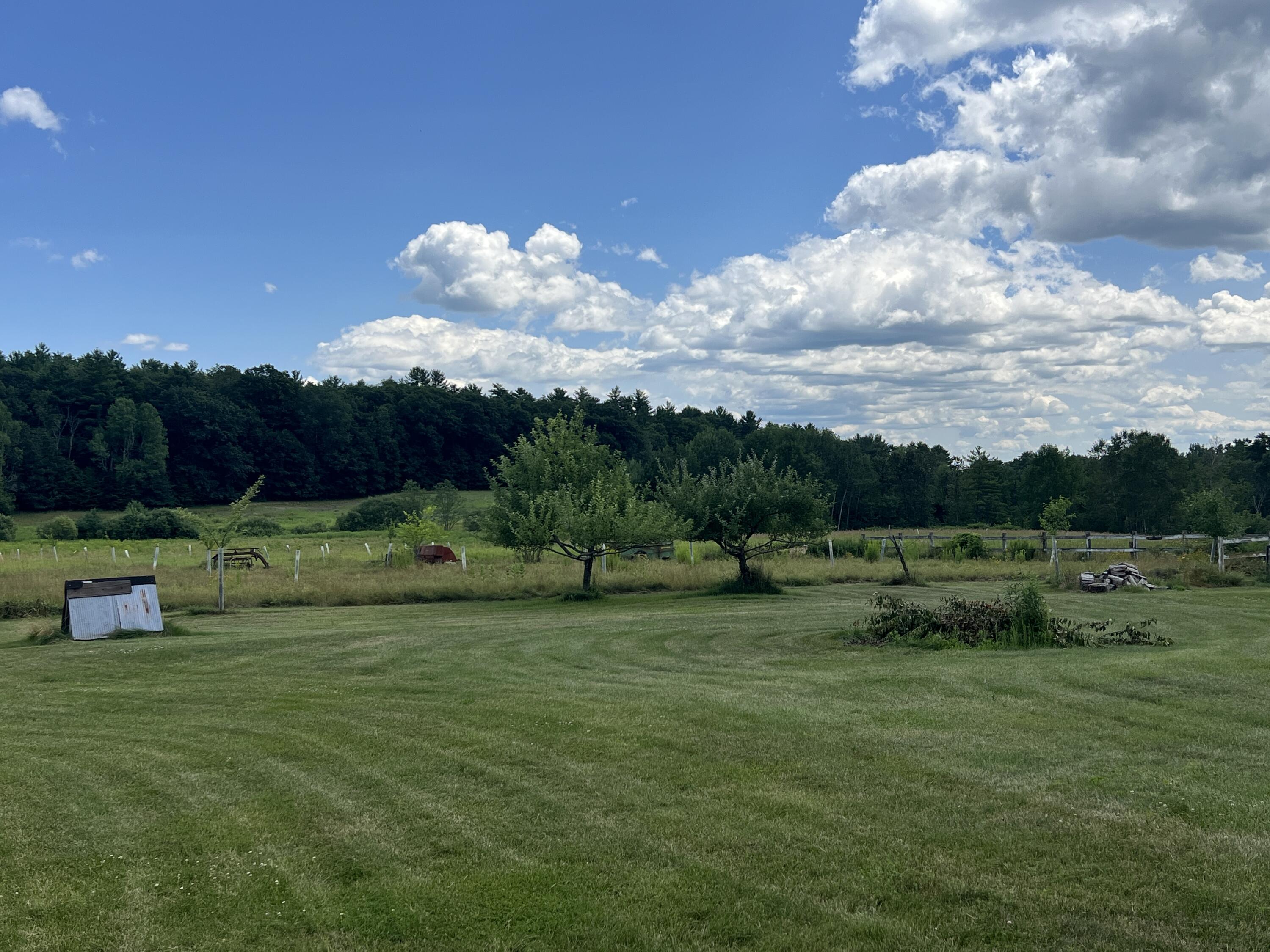 56 Elk Inn Road Port Henry, NY 12974 - Photo 4 of 43 Gallery Image 4