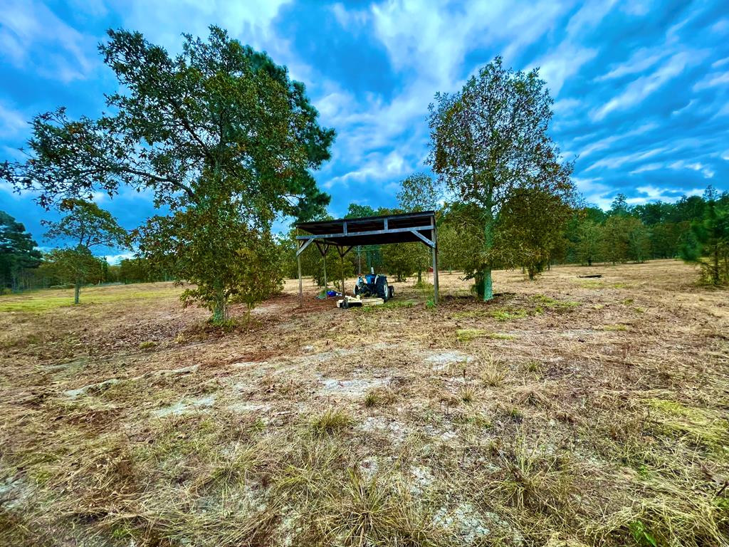 497 Pearl Bonnett Road Windsor, SC 29856 - Photo 1 of 1