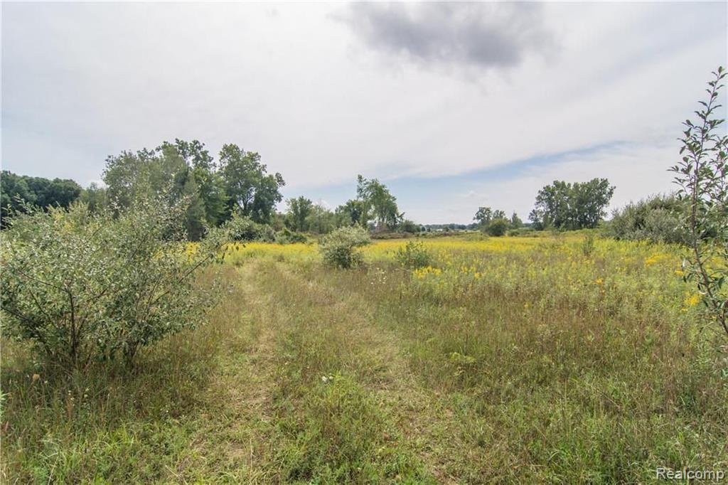 0 South Gregory Road Fowlerville, MI 48836 - Photo 5 of 26