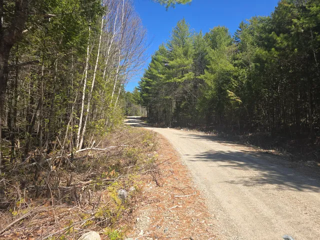 $250,000 | Lot 5 Spruce Mt Lake Road, Beddington, ME 04622