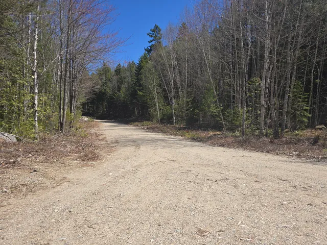$250,000 | Lot 5 Spruce Mt Lake Road, Beddington, ME 04622