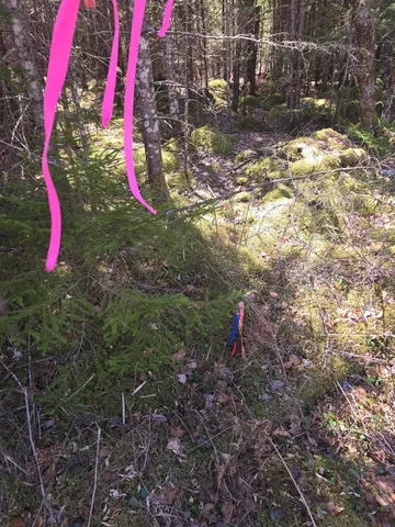 $250,000 | Lot 5 Spruce Mt Lake Road, Beddington, ME 04622