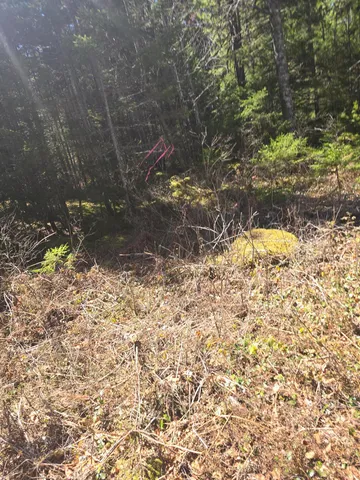 $250,000 | Lot 5 Spruce Mt Lake Road, Beddington, ME 04622