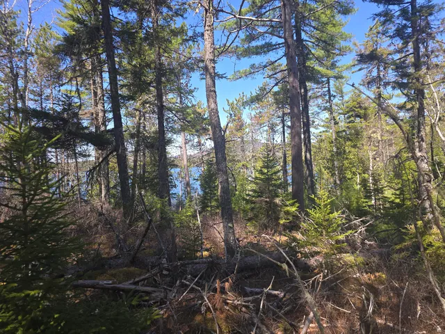 $250,000 | Lot 5 Spruce Mt Lake Road, Beddington, ME 04622