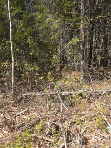 $250,000 | Lot 5 Spruce Mt Lake Road, Beddington, ME 04622