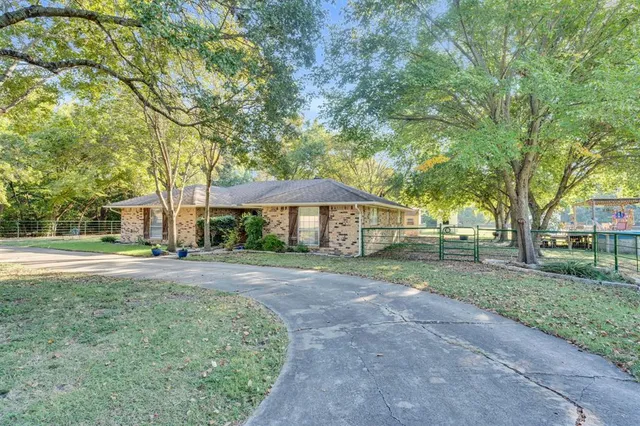 a view of a garden with plants