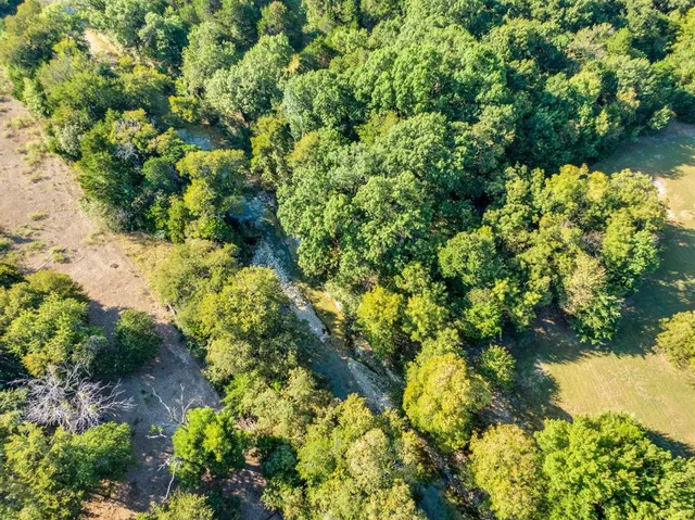 a close up of a flower in a garden