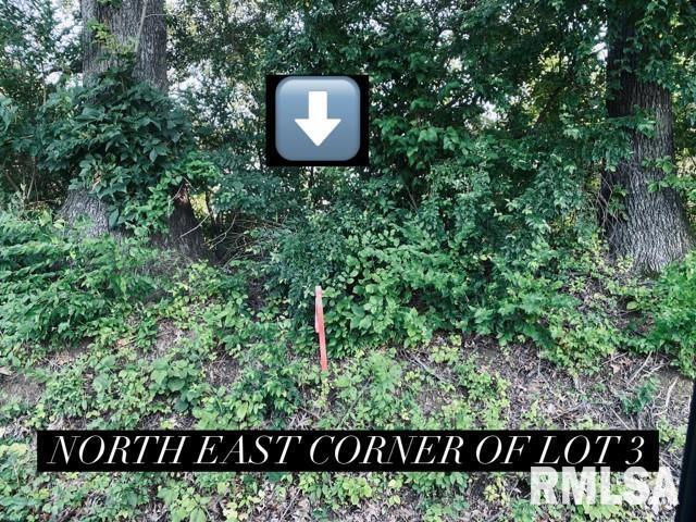 Lot 4 Falcon Road Carbondale, IL 62901 - Photo 2 of 9 a view of a sign in a park