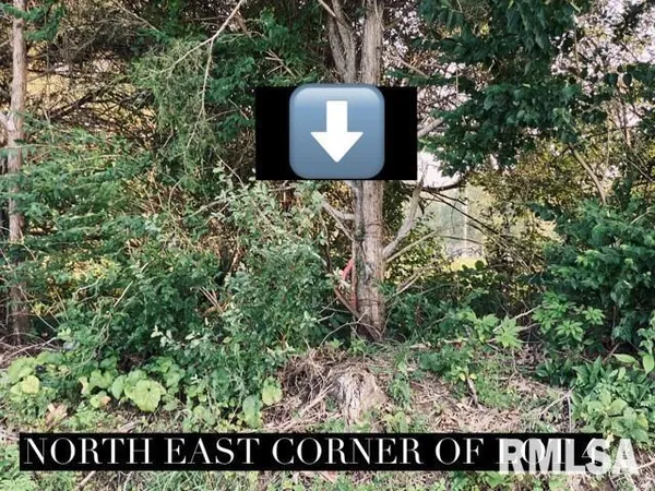 a view of a sign of a park