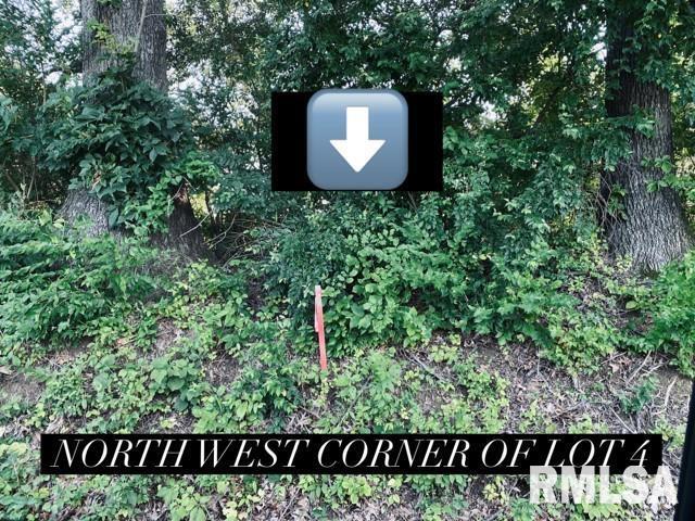 Lot 4 Falcon Road Carbondale, IL 62901 - Photo 4 of 9 a backyard of a house with a yard and tree