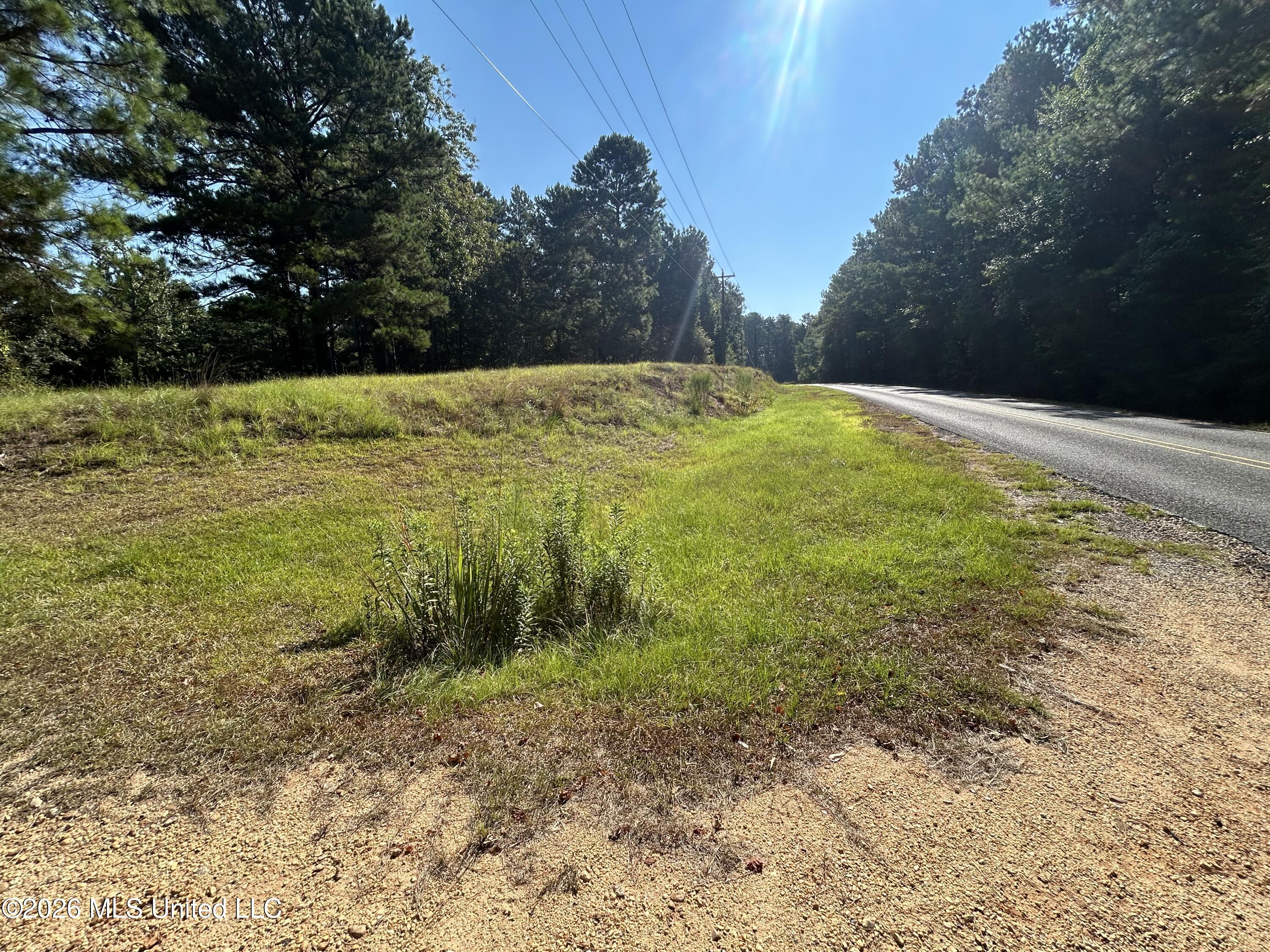 724 Mt Zion Road Mount Olive, MS 39119 - Photo 34 of 37 IMG_2611
