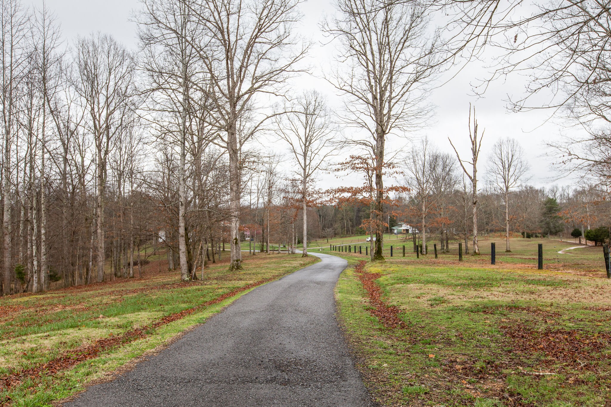 7217 Kingston Road Fairview, TN 37062 - Photo 49 of 50 a view of yard with green space and trees