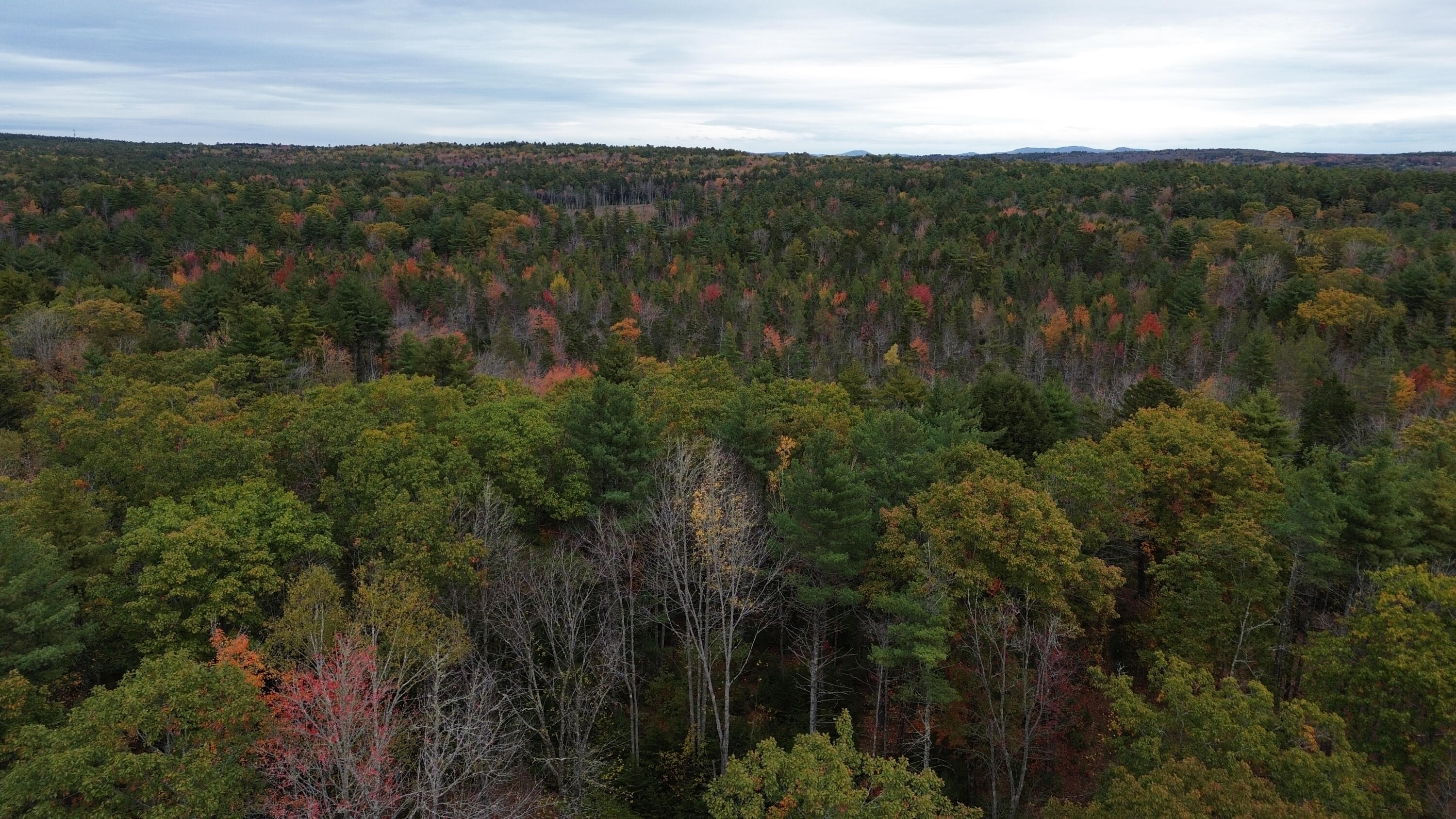 401 Genthner Road Waldoboro, ME 04572 - Photo 33 of 35