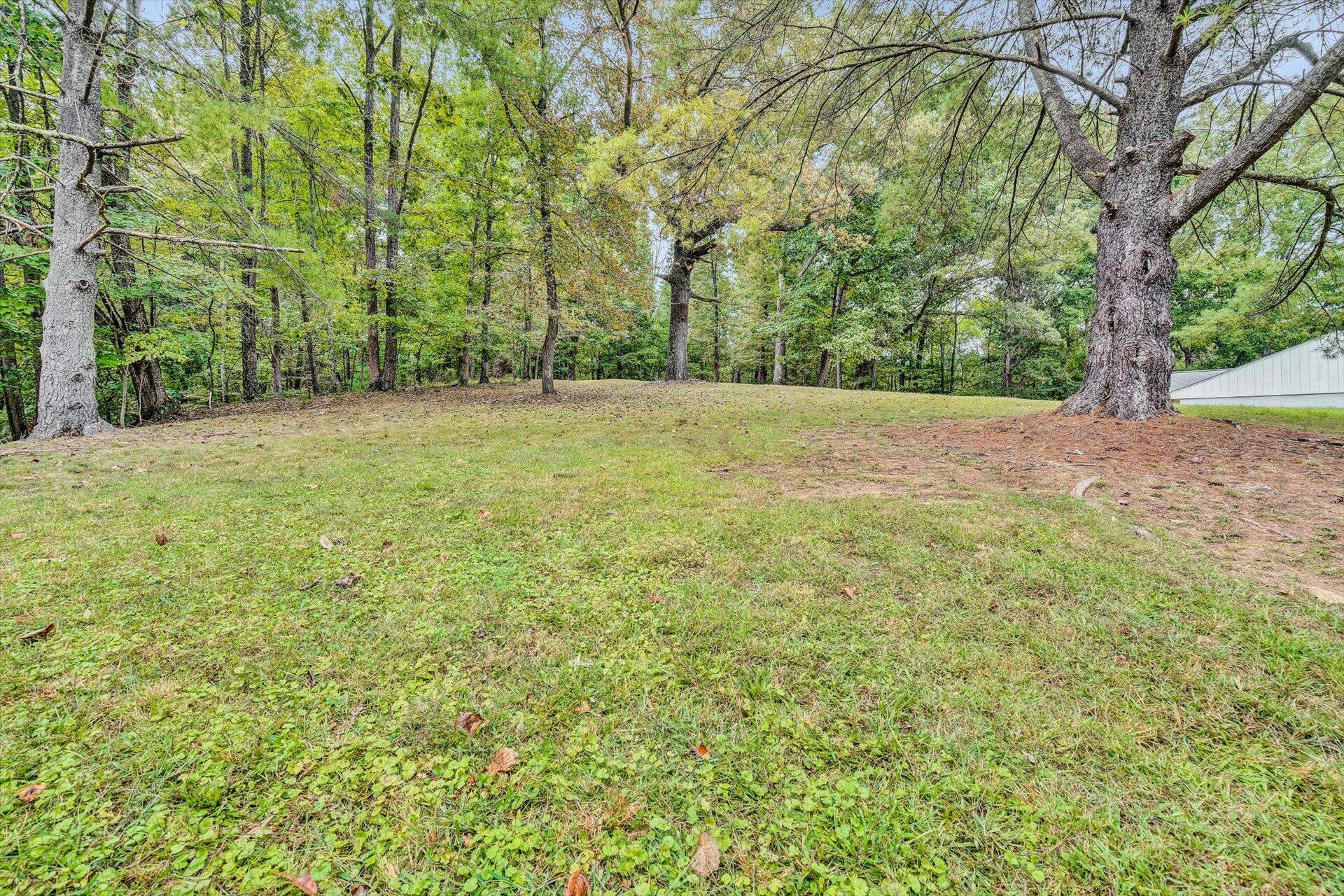 3526 Rutrough Road Southeast Roanoke, VA 24014 - Photo 10 of 33 a view of yard with green space